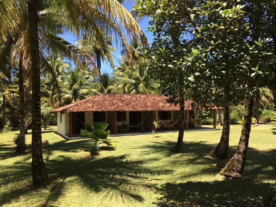 Casinha Jardim Das Palmeiras Morro de São Paulo Екстериор снимка