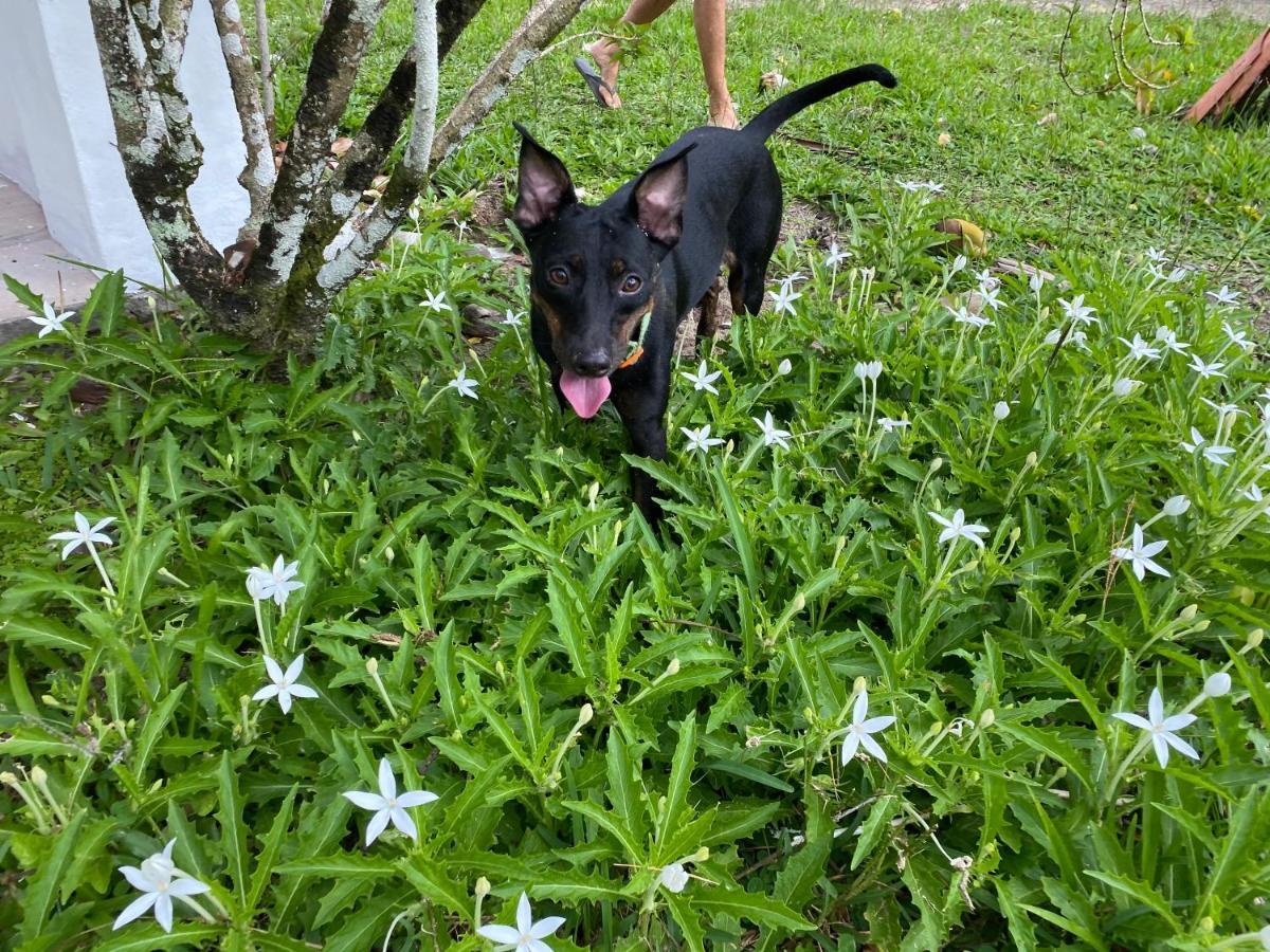 Casinha Jardim Das Palmeiras Morro de São Paulo Екстериор снимка